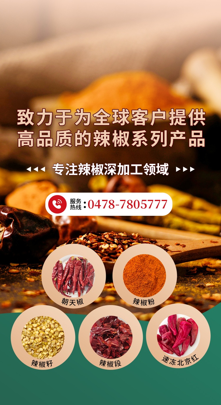 thumb__750x_1370_m_banner04