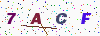 authcode.class