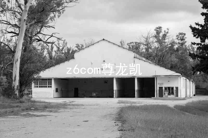 z6com尊龙凯