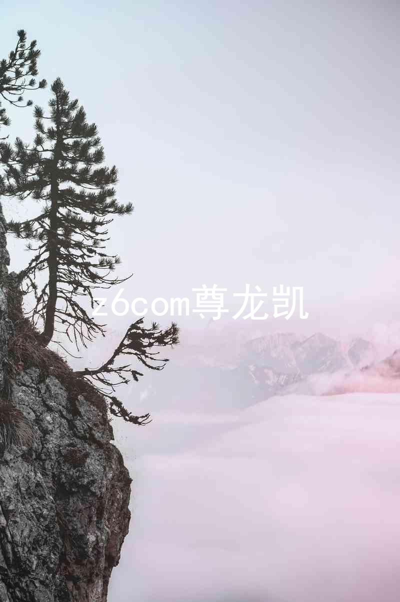 z6com尊龙凯